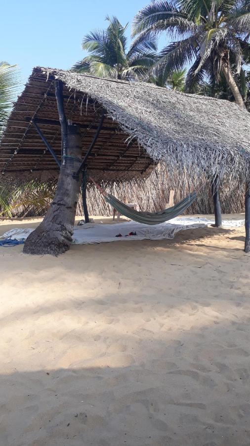 Hotel Dolphinchilling Alankuda Exterior foto